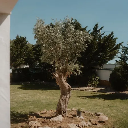 Nana House Ericeira - Yoga & Surf Lodge *