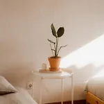 山林小屋 Nana House Ericeira - Yoga & Surf