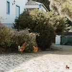 山林小屋 Nana House Ericeira - Yoga & Surf Santo Isidoro