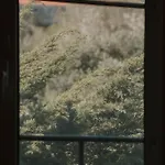 山林小屋 Nana House Ericeira - Yoga & Surf Santo Isidoro