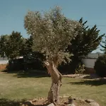 Nana House Ericeira - Yoga & Surf 山林小屋 Santo Isidoro