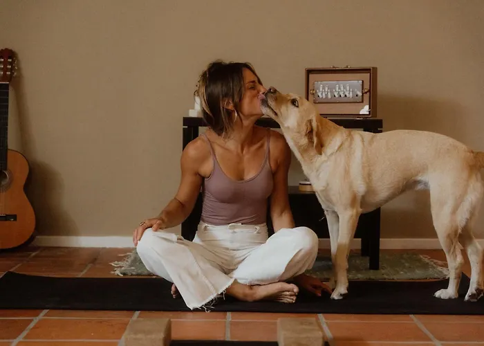 Nana House Ericeira - Yoga&surf Hytte *