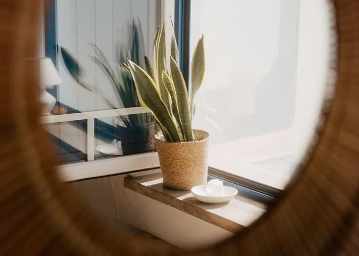 بيت خشبي Nana House Ericeira - Yoga & Surf Santo Isidoro