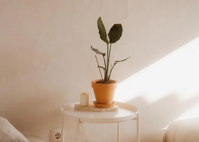 بيت خشبي Nana House Ericeira - Yoga & Surf