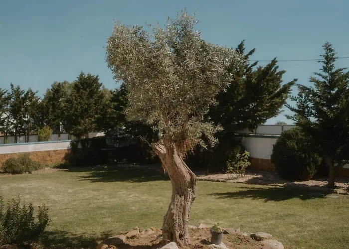 Nana House Ericeira - Yoga & Surf بيت خشبي Santo Isidoro
