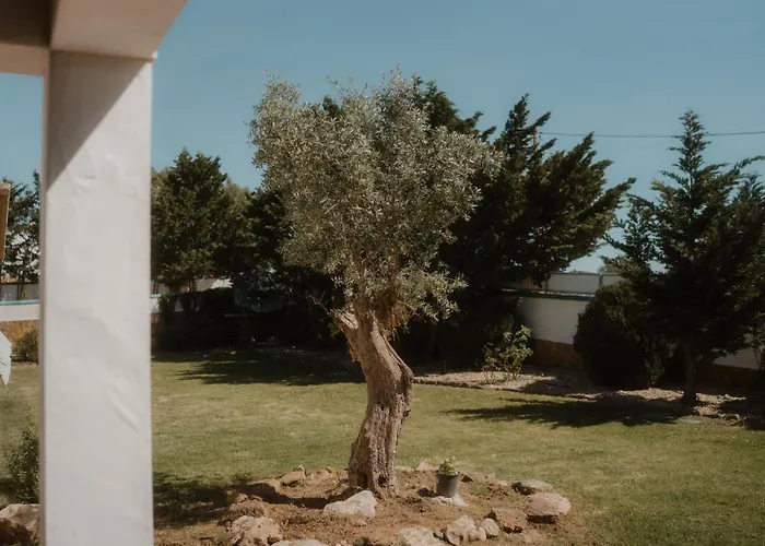 Nana House Ericeira - Yoga & Surf بيت خشبي *